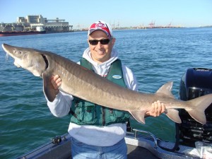 Photo001 zps8fe39b74